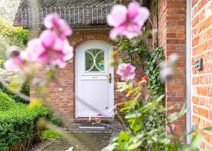 Reethus We 3, Blaumuschel * Borgsum